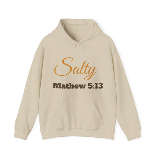 Salty Matthew 5:13 Hoodie — Christian Faith Quote Pullover
